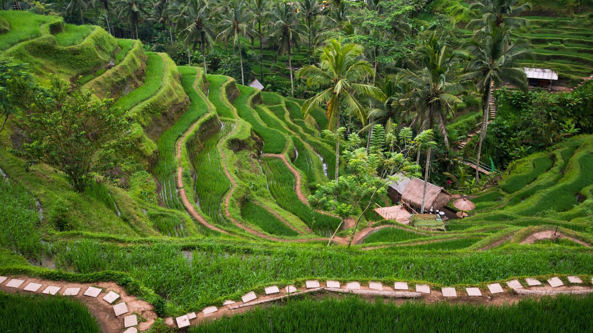 Ubud, Bali — Bali's cultural heart of art, temples and rice terraces